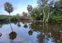 CorvetteBlogger is Back Online Following Hurricane Milton CorvetteBlogger is Back Online Following Hurricane Milton