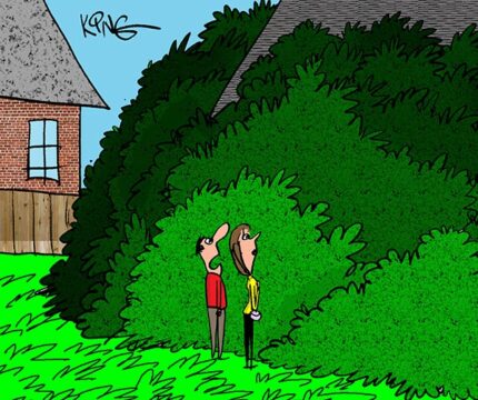Saturday Morning Corvette Comic: Can’t See the Garage for the Trees