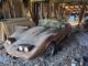 Corvettes for Sale: ‘Bicentennial’ 1976 Corvette Barn Find Offered on eBay for $5K Corvettes for Sale: 'Bicentennial' 1976 Corvette Barn Find offered on eBay for $5K
