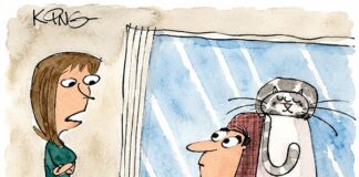 Saturday Morning Corvette Comic: Explaining Your New Corvette Purchase to Your Spouse Saturday Morning Corvette Comic: Explaining Your New Corvette Purchase to Your Spouse